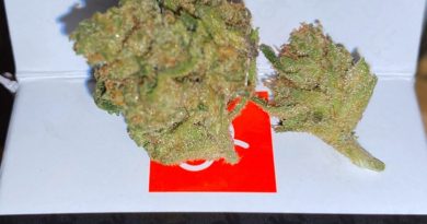 kuzzo fly kookies by cherry kola farms strain review by trunorcal420 3