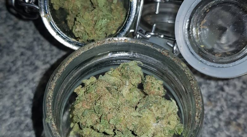 luton cheese by exodus strain review by ninthtimelucky