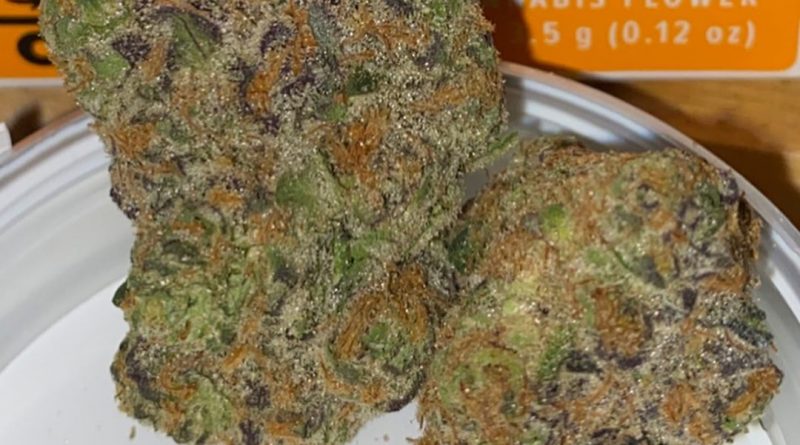 mai tai by sessions supply co strain review by trunorcal420
