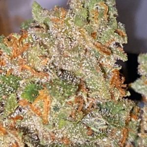 mamba by grizzly peak strain review by trunorcal420 3