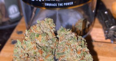 mamba by grizzly peak strain review by trunorcal420