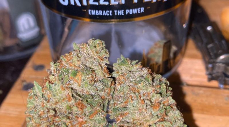 mamba by grizzly peak strain review by trunorcal420
