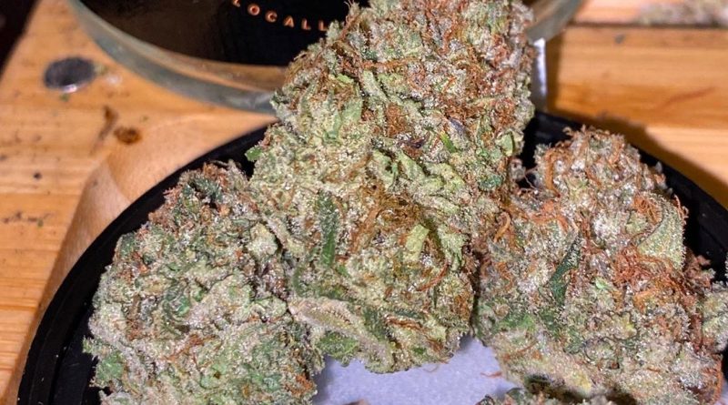 melonade by sf cultivators strain review by trunorcal420