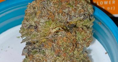 mercury og by sessions supply strain review by trunorcal420