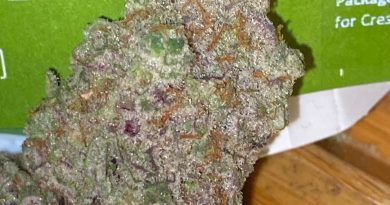miracle alien cookies by cresco strain review by trunorcal420