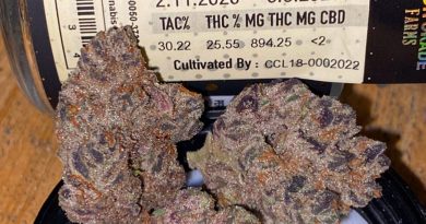 onion breath by high grade farms strain review by trunorcal420