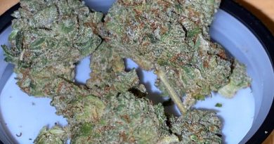 Strain Review: Doc's OG by Pearl Pharma - The Highest Critic