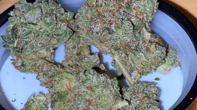 romulan by pearl pharma strain review by trunorcal420