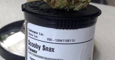 scooby snacks by injoy cannabis strain review by pdxstoneman