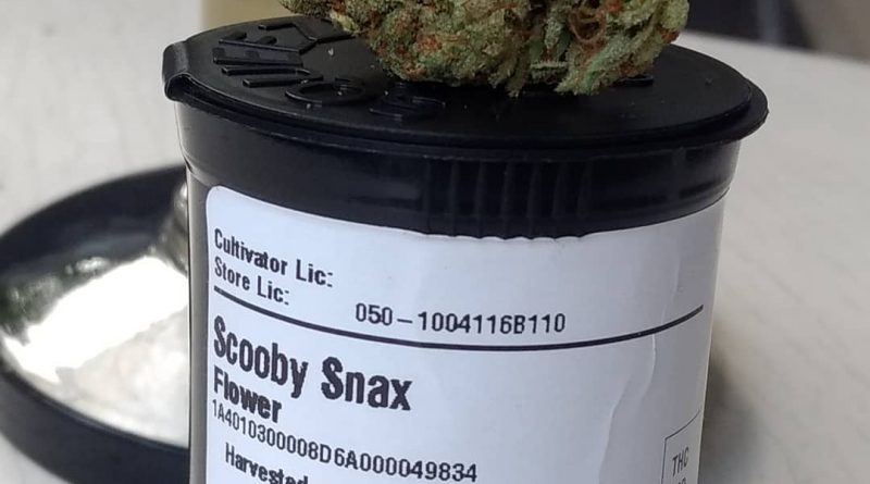 scooby snacks by injoy cannabis strain review by pdxstoneman