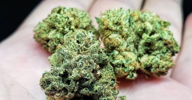 sfv x tk by jungle boys strain review by thefirescale 2