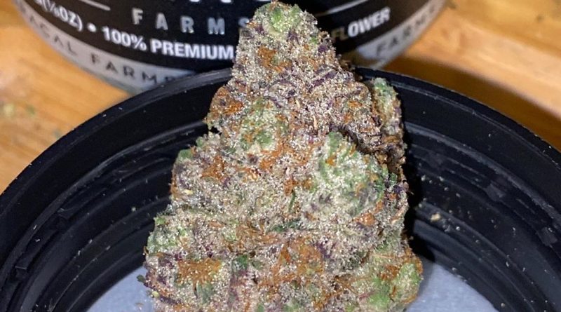 slurri crasher #1 by florical farms strain review by trunorcal420