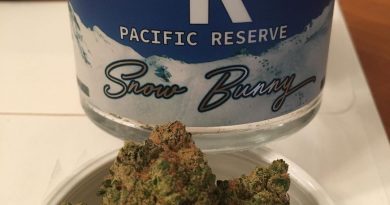 snow bunny by pacific reserve strain review by trunorcal420