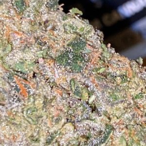 sonoma cake by floracal farms strain review by trunorcal420 2