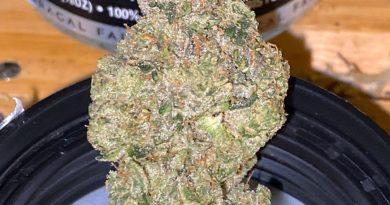 sonoma cake by floracal farms strain review by trunorcal420