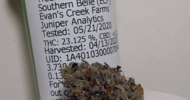 southern belle by evan's creek farm strain review by pdxstoneman