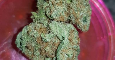 strawberry strain review by ninthtimelucky