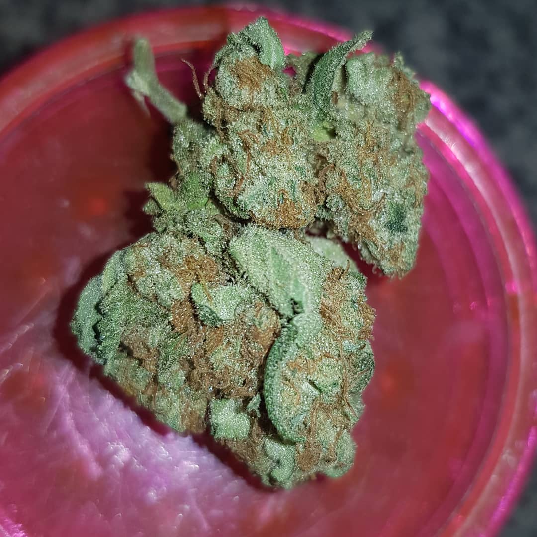 Strain Review Strawberry The Highest Critic