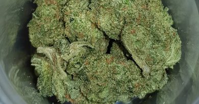 sugar cookie strain review by ninthtimelucky