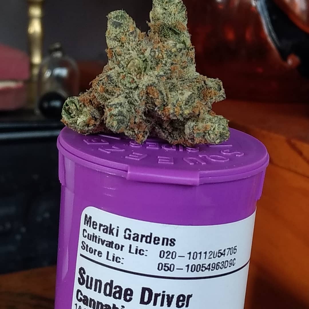 Sundae Driver Cannabis Strain UK - Weed Xpress Dispensary UK