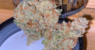 thc bomb by grizzly peak strain review by trunorcal420