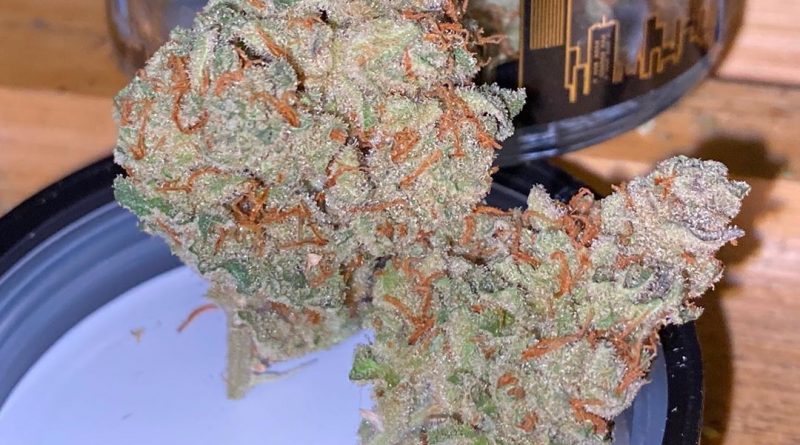 thc bomb by grizzly peak strain review by trunorcal420