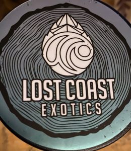 triangle mints by lost coast exotics strain review by trunorcal420 2