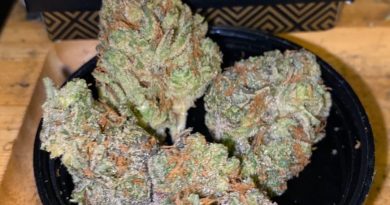 tropic berry og by maven genetics strain review by trunorcal420