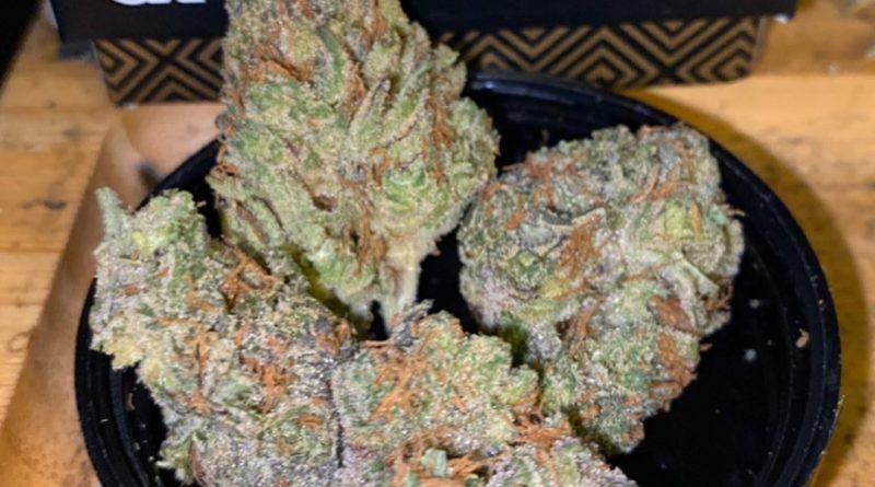 tropic berry og by maven genetics strain review by trunorcal420