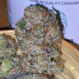 true og by cam strain review by trunorcal420