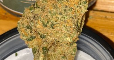 wedding cake by 530 grower strain review by trunorcal420