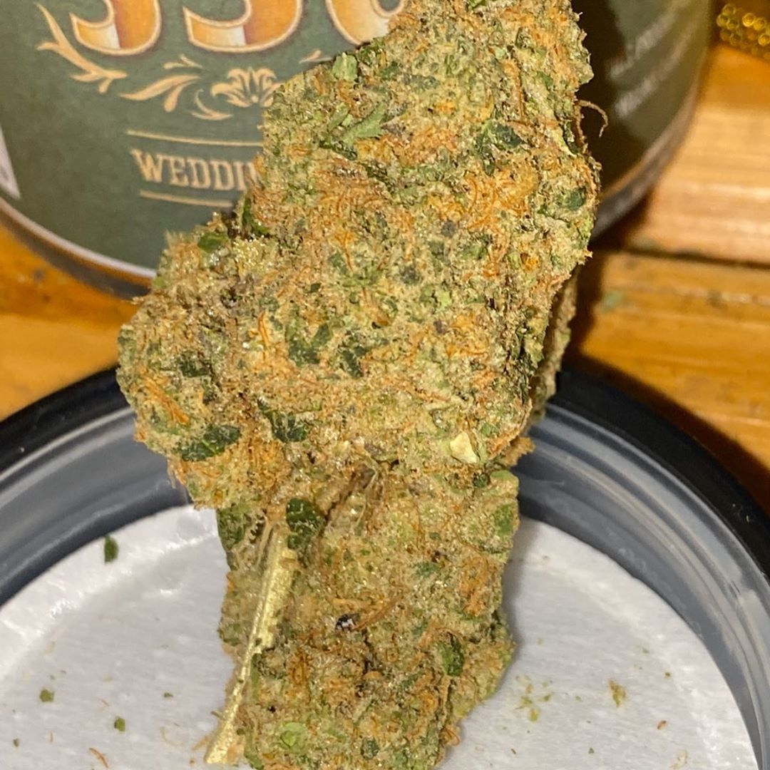 OG Kush Grass Strain: All you need to Discover