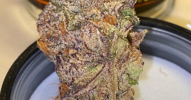 wedding pie by sf cultivators strain review by trunorcal420