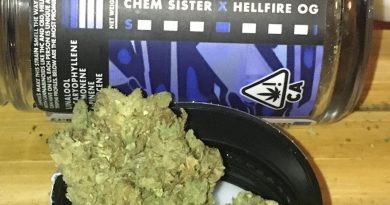 witch hunt by korova strain review by trunorcal420