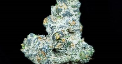 apple fritter from los angeles farmers strain review by thefirescale