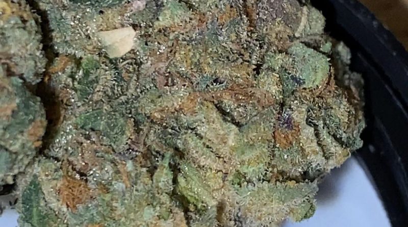 bananalato by synergy cannabis strain review by trunorcal420 3
