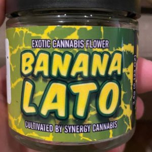 bananalato by synergy cannabis strain review by trunorcal420