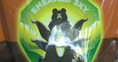 cannabis infused peanut butter cups by emerald sky edible review by sjweedreview