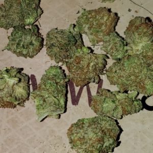 caribbean breeze by one plant strain review by strain_games 2