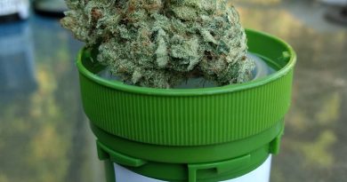 chemical sunset by surfr select strain review by pdxstoneman