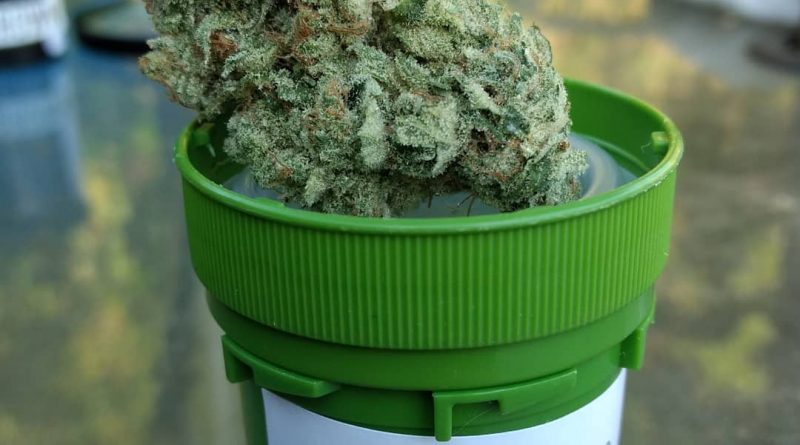 chemical sunset by surfr select strain review by pdxstoneman