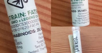 fatso cartridge by phinest cannabis vape review by cannasaurus_rex_reviews