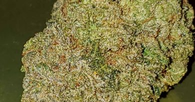 full metal jacket from rise cannabis strain review by strain_games 2