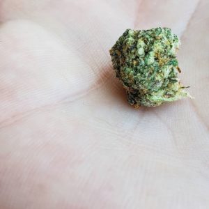 gary payton by cookies california strain review by thefirescale 2