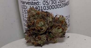 gelato #33by nelson and company strain review by pdxstoneman 2
