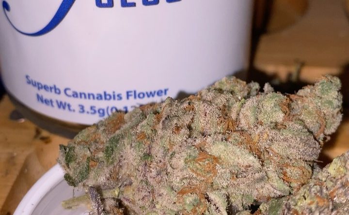 glitter box by fuego family farms strain review by trunorcal420