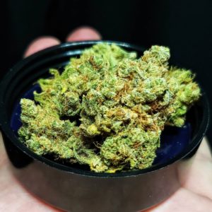 golden state banana from cookies melrose strain review by thefirescale 2