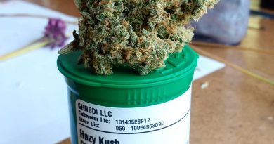 hazy kush by green bodhi strain review by pdxstoneman