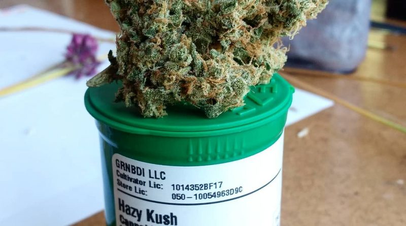 hazy kush by green bodhi strain review by pdxstoneman