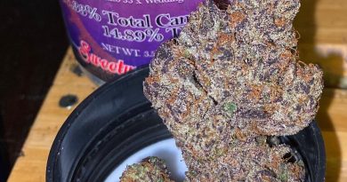 ice cream cake by sweetwater pharms strain review by trunorcal420